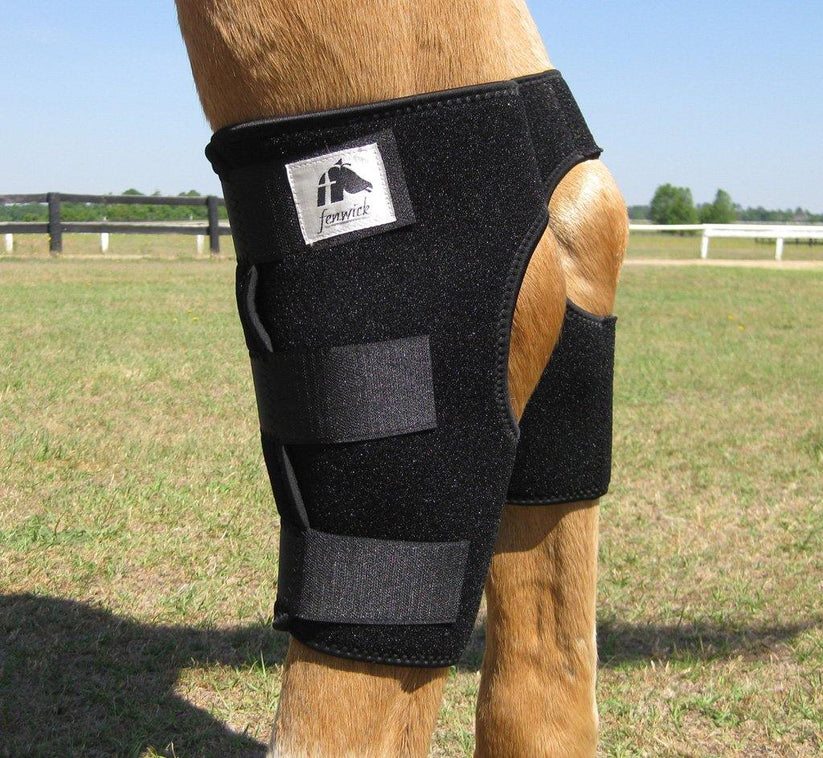 Fenwick LT Hock Boot