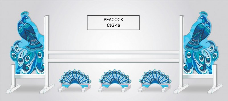 Burlingham Sports Graphic Jump-Peacock