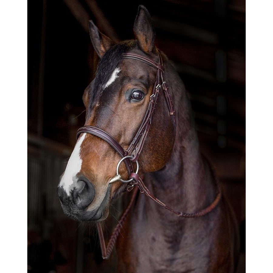 Edgewood 1" Fancy-Stitch Raised Hunter Bridle