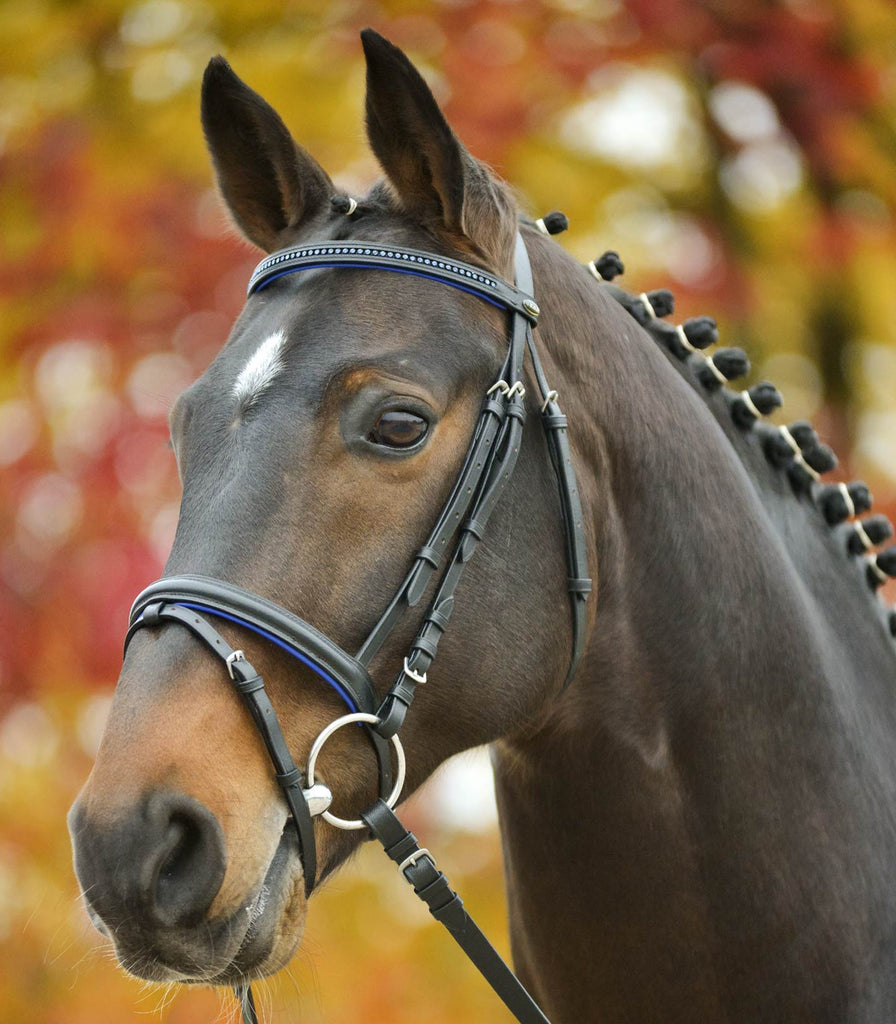 Waldhausen Star Bridle Blue Diamond