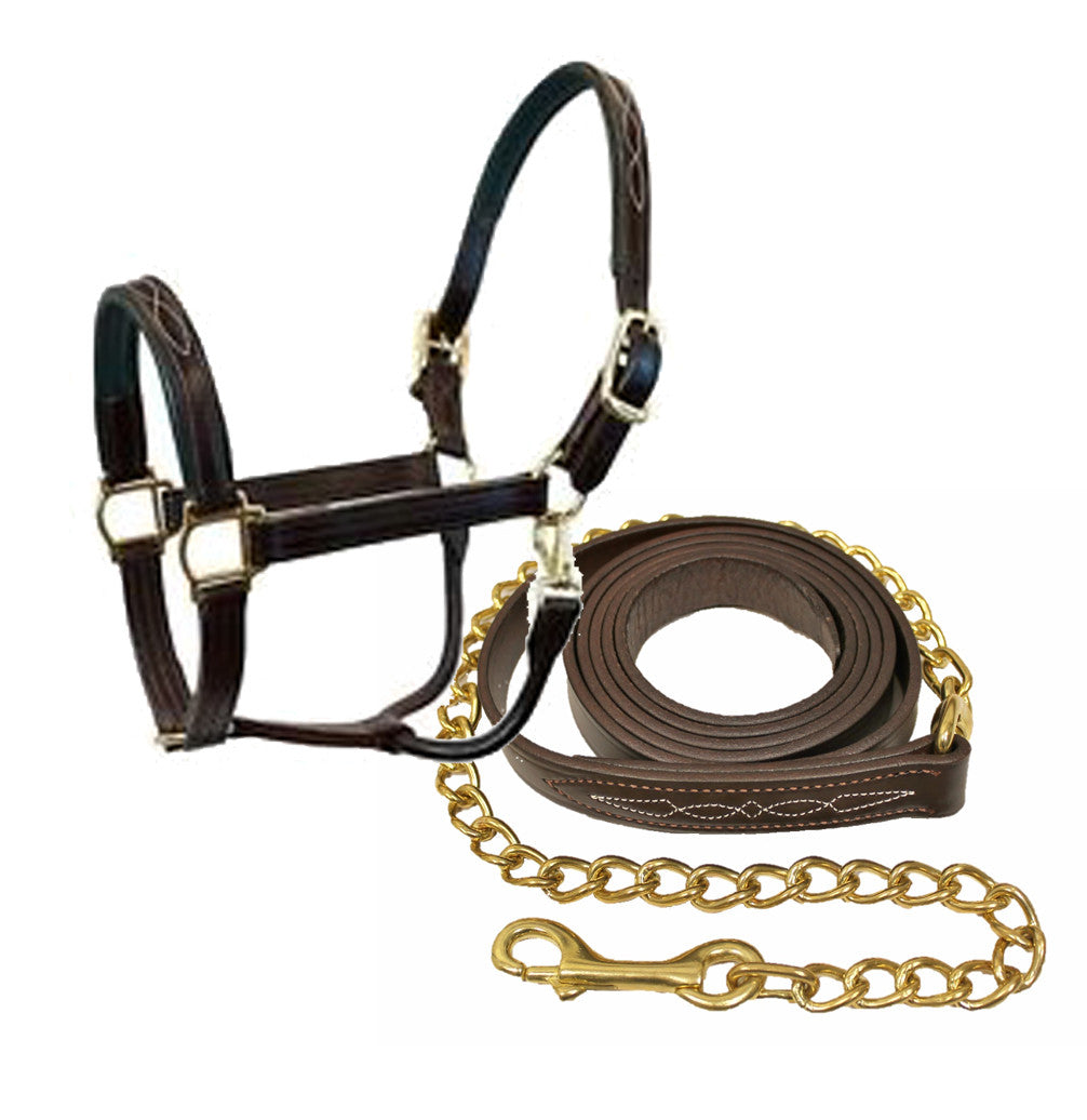 Halters & Leads