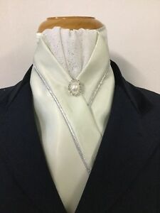 Stock Ties & Pins