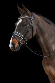 Schockemohle Malaga Dressage Bridle