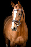 Montar Normandie Bridle