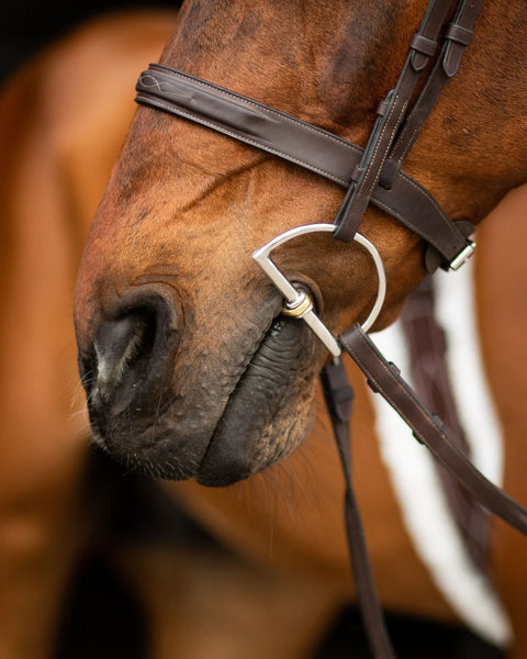 ProSeries Derby Bit - D Ring