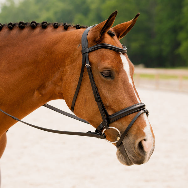KL Select Elevation Dressage Bridle