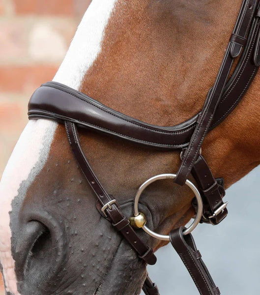 Premier Equine Savuto Anatomic Bridle with Crank Noseband and Flash- Last One!