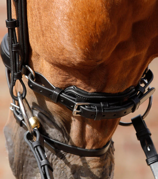 Premier Equine Savuto Anatomic Bridle with Crank Noseband and Flash- Last One!