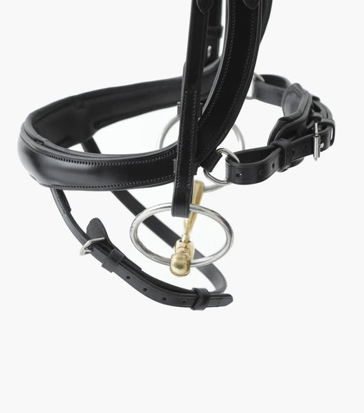 Premier Equine Savuto Anatomic Bridle with Crank Noseband and Flash- Last One!