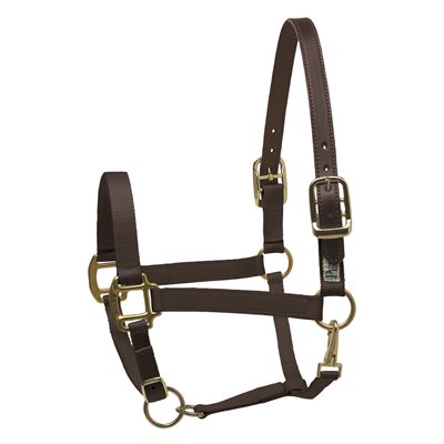 Perri's Safety Halter