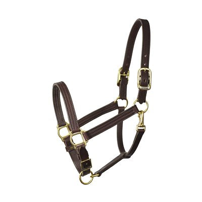 Perri's 1" Havana Turnout Halter