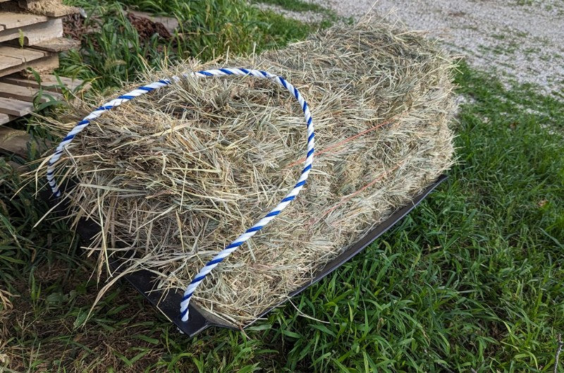 Burlingham Sports The Sled