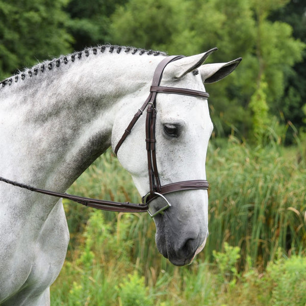 KL Select Red Barn Indio Bridle