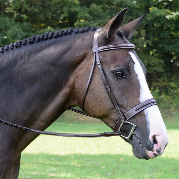 KL Select Red Barn Sonoma Fancy Hunter Bridle