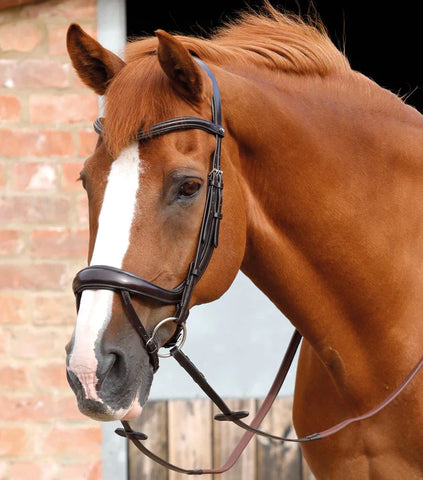 Premier Equine Savuto Anatomic Bridle with Crank Noseband and Flash