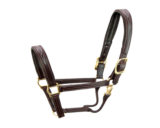 Walsh Signature Padded Halter