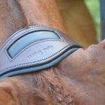 KL Select Red Barn Arena Ergonomic Bridle