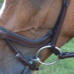 KL Select Red Barn Arena Ergonomic Bridle