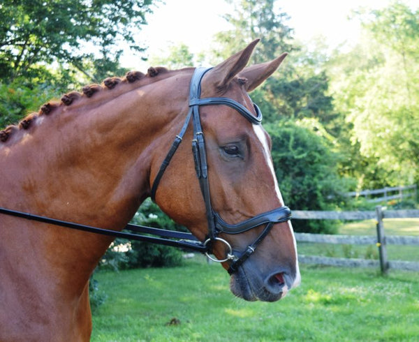KL Select Red Barn Arena Ergonomic Bridle
