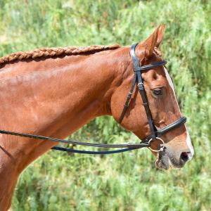 Bobby's English Tack Eventer Heavy Duty Padded Bridle