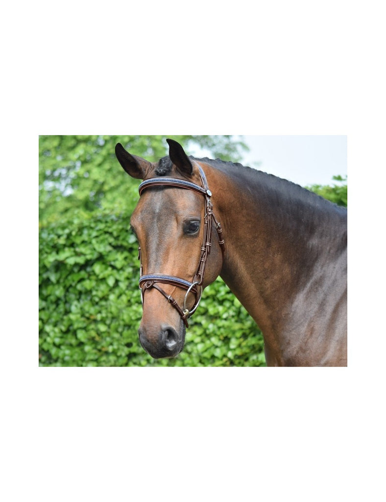 Jump'In Crystal Bridle