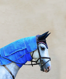 EquiSources® Carry-Cool® Sport Horse Cooling Kit