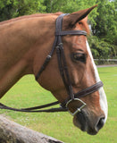KL Select Red Barn Indio Bridle
