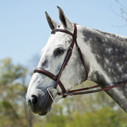 Edgewood Fancy Stitched, Raised, Padded Hunter Bridle