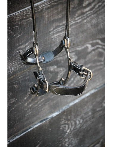 Jump'In Leather Hackamore