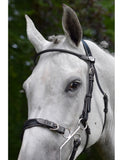 Jump'In Hackamore Bridle