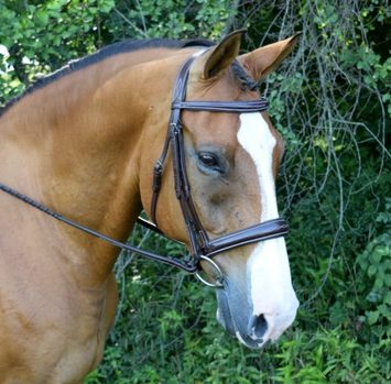 Red Barn Ocala Hunter Bridle