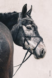 Schockemohle Rio Select Anatomical Bridle