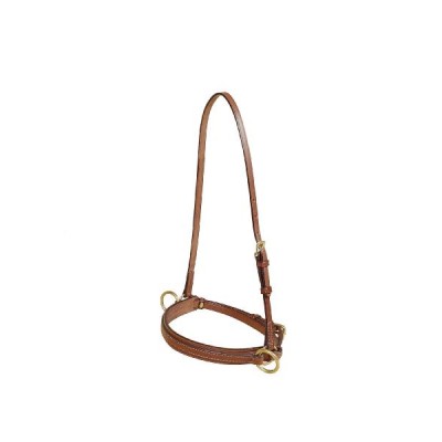 Tory Leather Bridle Leather Lunge Caveson