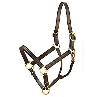Tory Traditional Deluxe Leather Halter